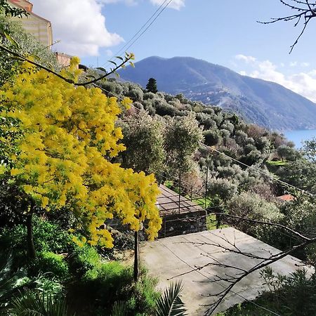 Villa San Prospero Camogli Pokój zdjęcie