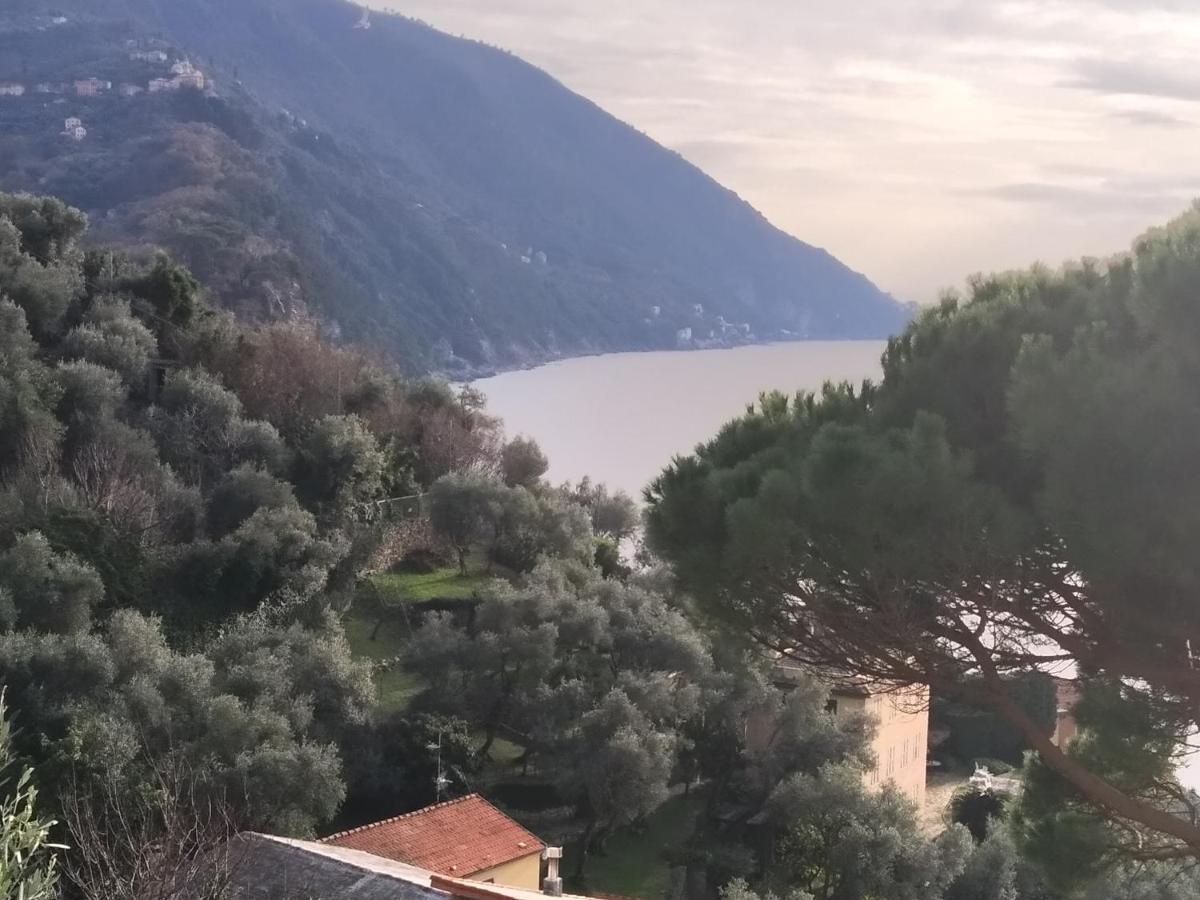 Villa San Prospero Camogli Zewnętrze zdjęcie