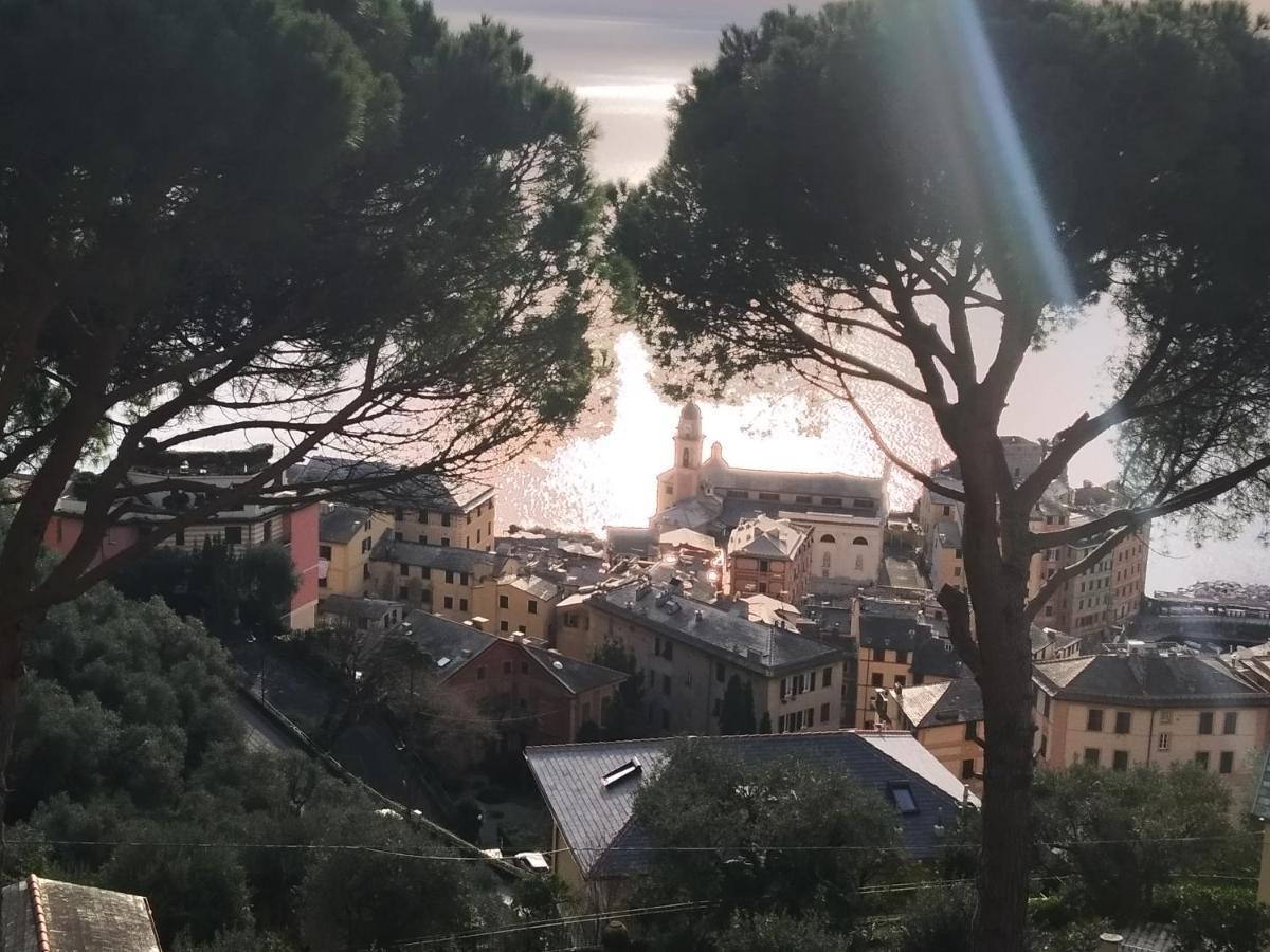 Villa San Prospero Camogli Zewnętrze zdjęcie
