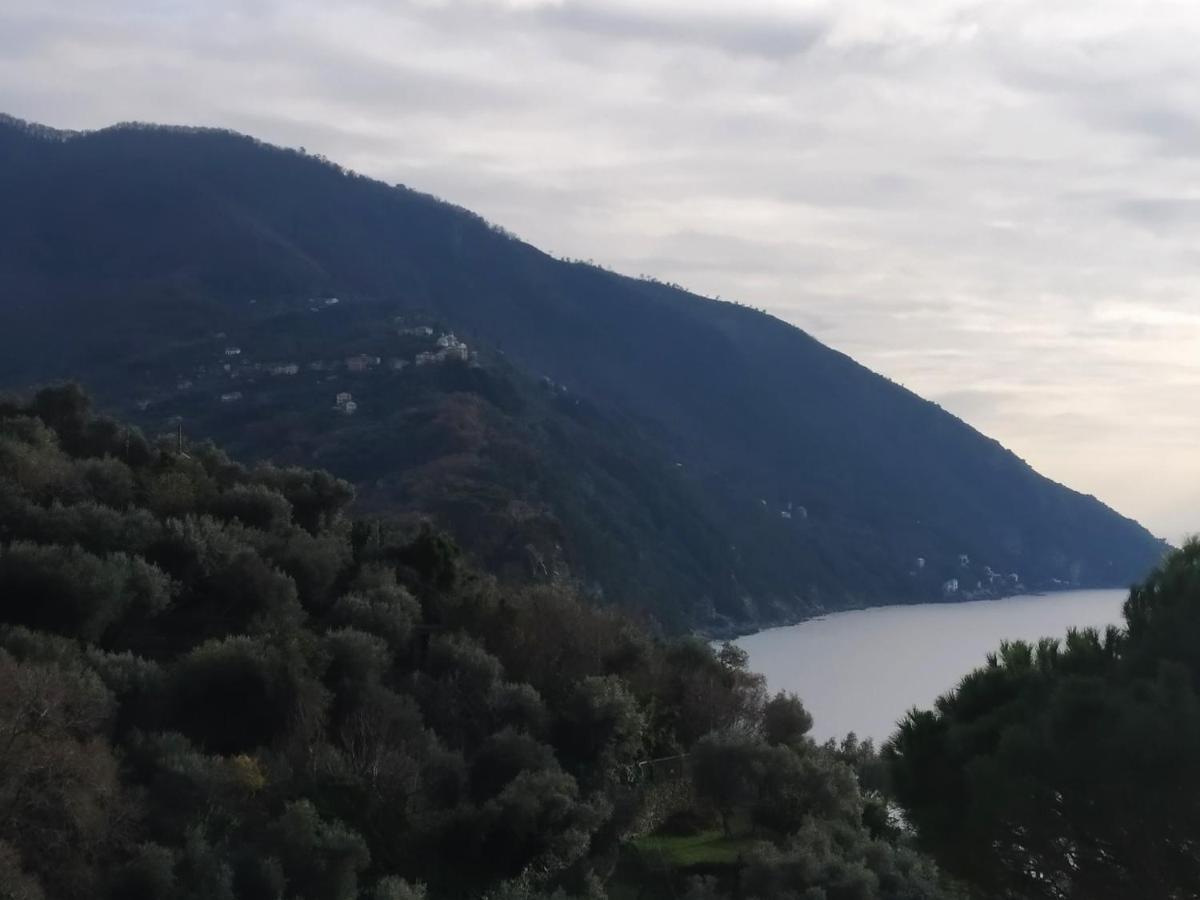 Villa San Prospero Camogli Zewnętrze zdjęcie