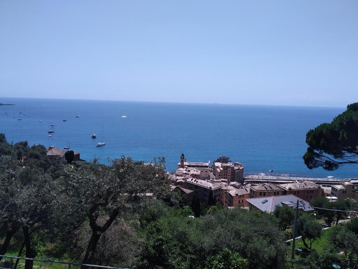 Villa San Prospero Camogli Zewnętrze zdjęcie