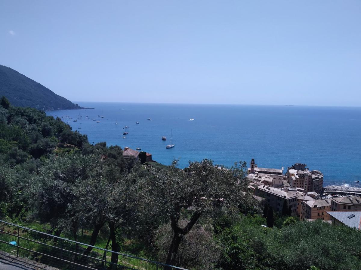 Villa San Prospero Camogli Zewnętrze zdjęcie