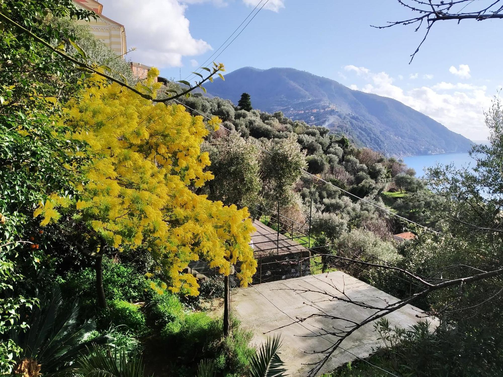 Villa San Prospero Camogli Pokój zdjęcie