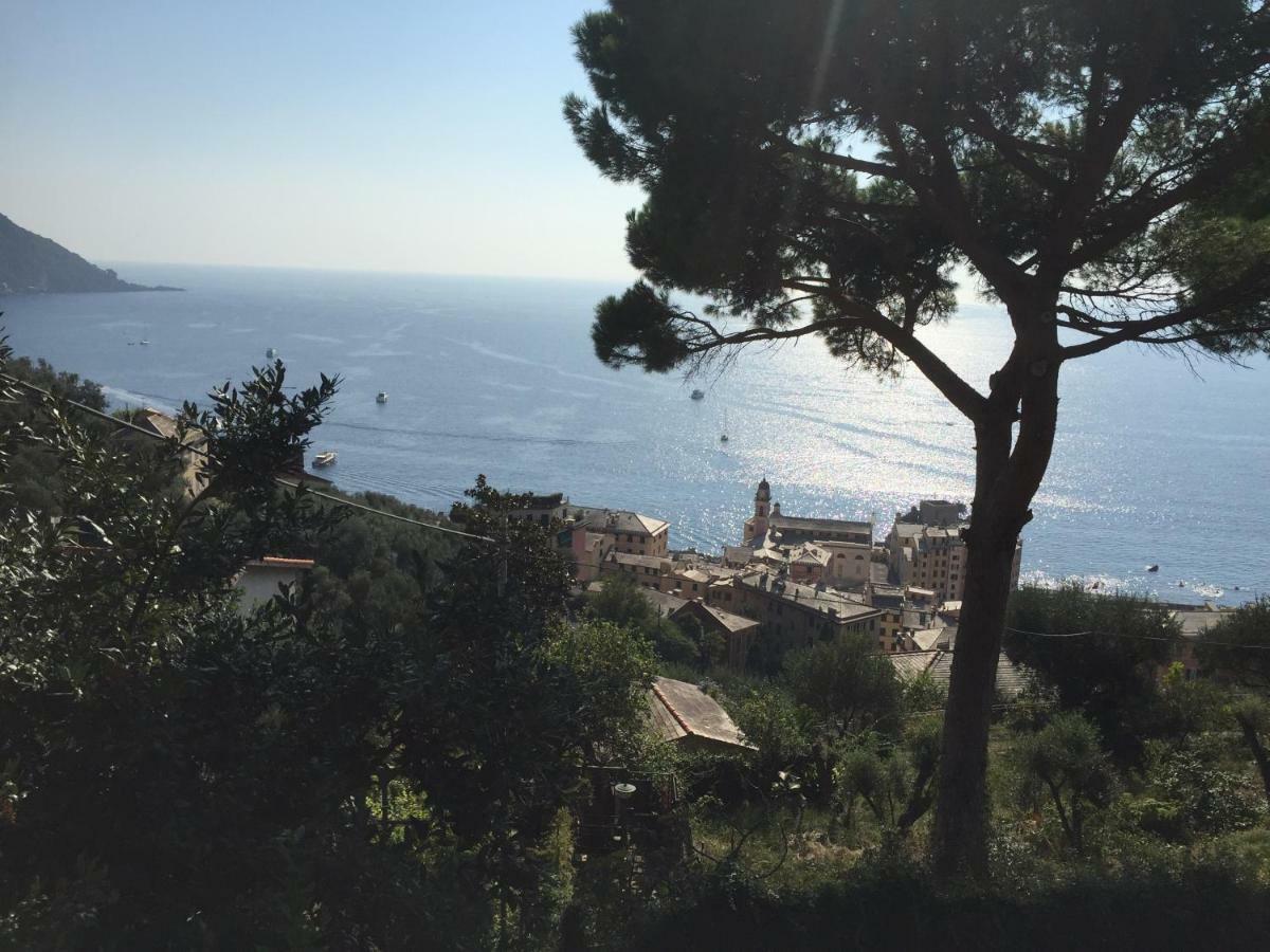 Villa San Prospero Camogli Zewnętrze zdjęcie