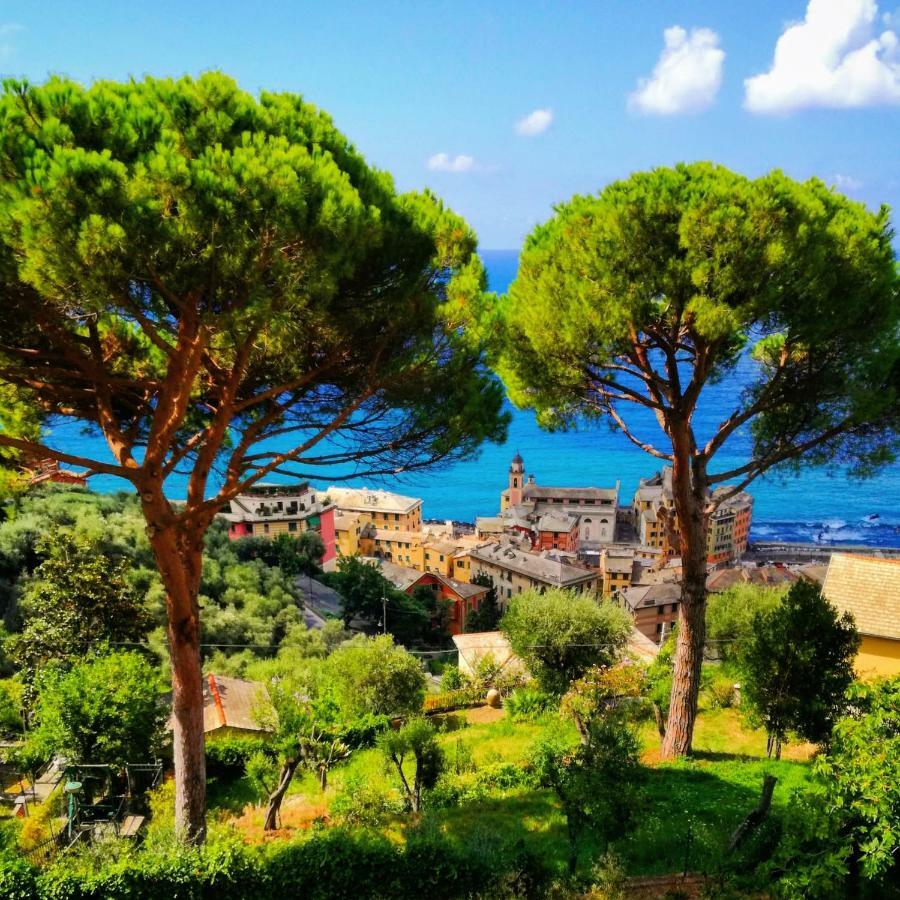 Villa San Prospero Camogli Zewnętrze zdjęcie