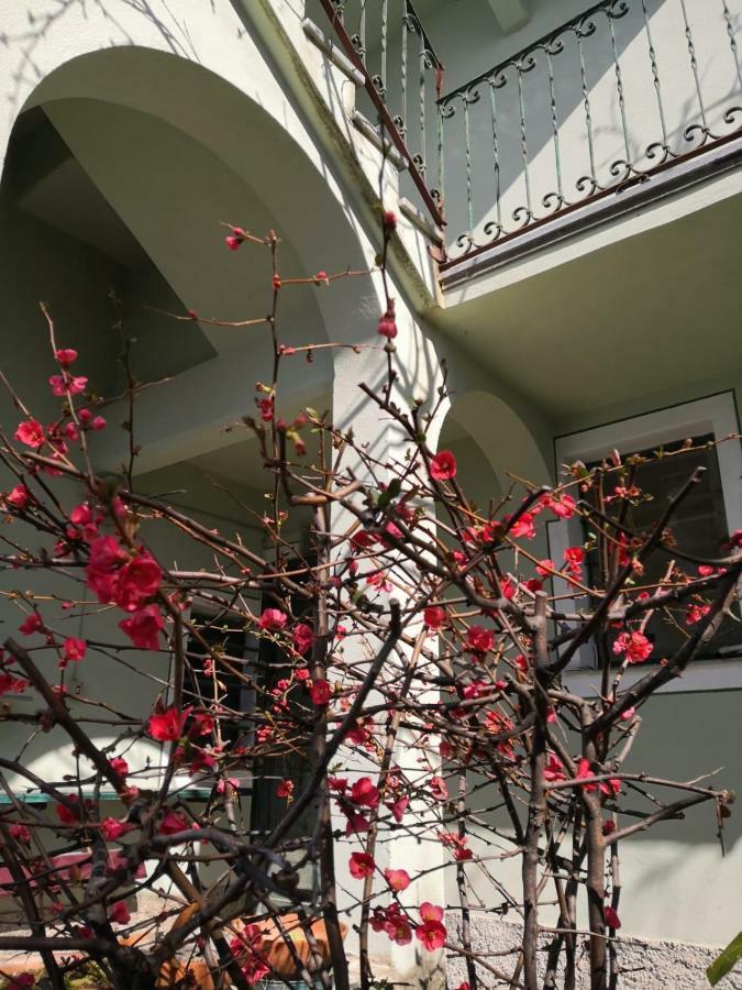 Villa San Prospero Camogli Zewnętrze zdjęcie