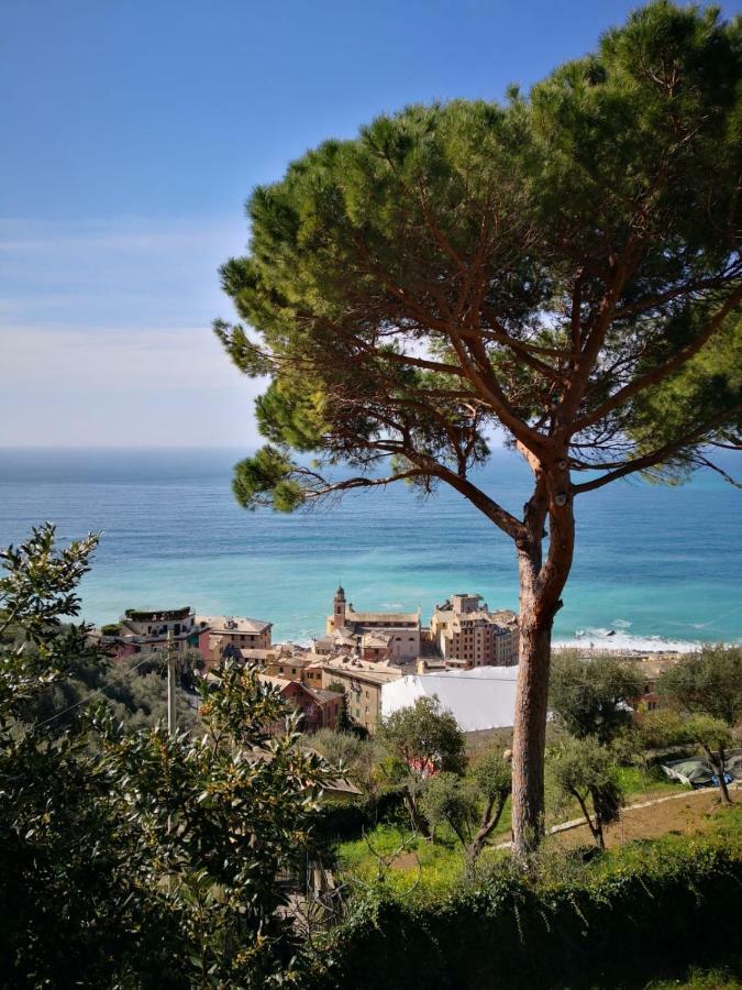 Villa San Prospero Camogli Zewnętrze zdjęcie