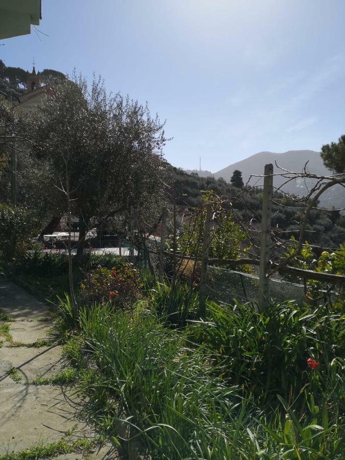 Villa San Prospero Camogli Zewnętrze zdjęcie