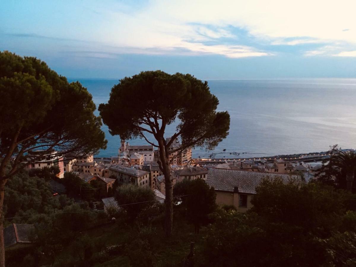 Villa San Prospero Camogli Zewnętrze zdjęcie