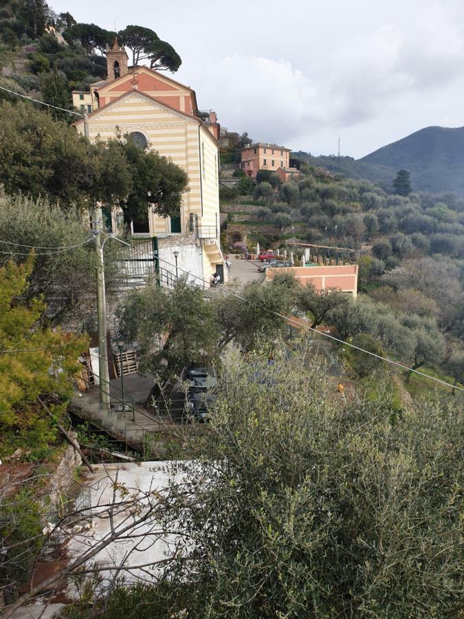 Villa San Prospero Camogli Zewnętrze zdjęcie