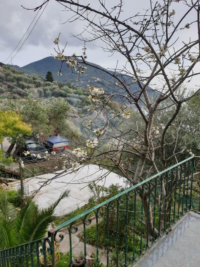 Villa San Prospero Camogli Zewnętrze zdjęcie