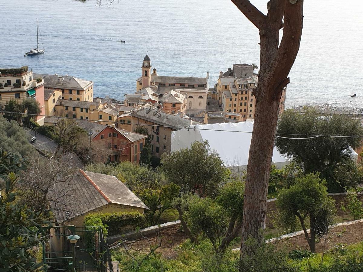 Villa San Prospero Camogli Zewnętrze zdjęcie