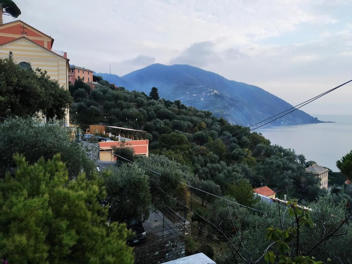 Villa San Prospero Camogli Zewnętrze zdjęcie